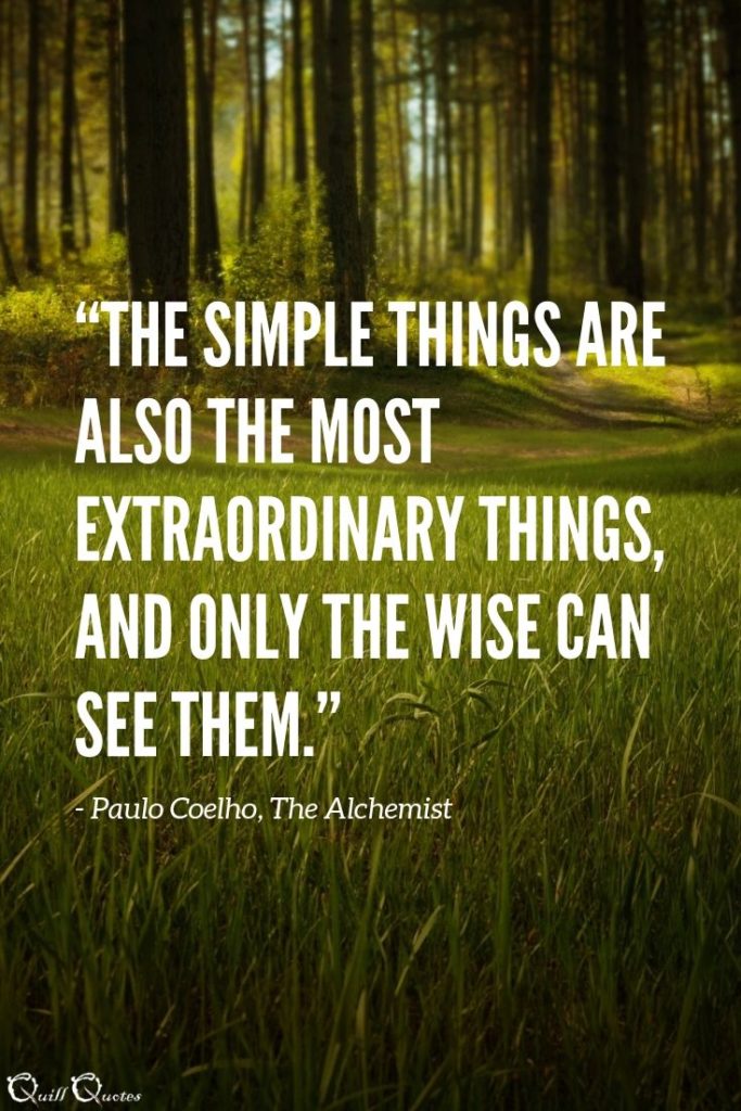 “The simple things are also the most extraordinary things, and only the wise can see them.” - Paulo Coelho, The Alchemist