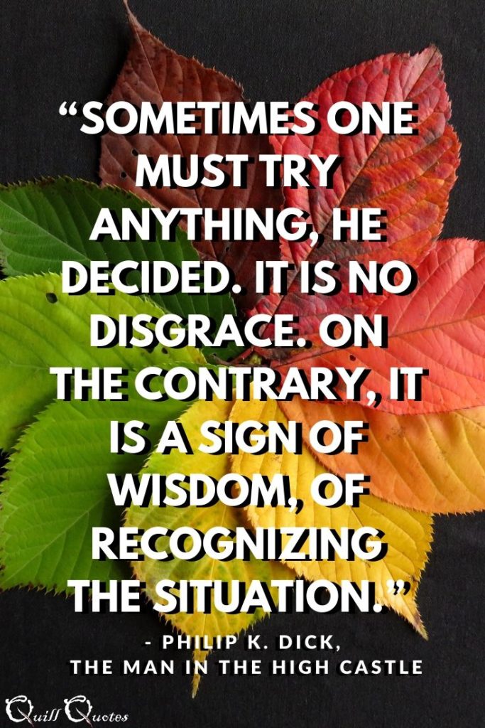 “Sometimes one must try anything, he decided. It is no disgrace. On the contrary, it is a sign of wisdom, of recognizing the situation.”