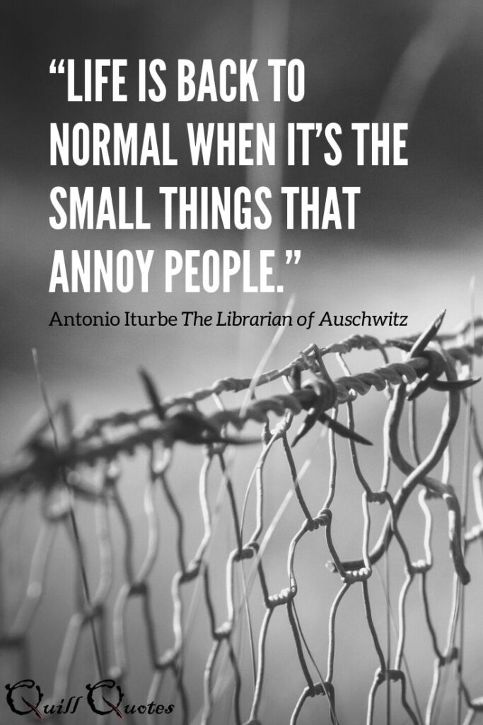 "Life is back to normal when it's the small things that annoy people" Antonio Iturbe The Librarian of Auschwitz