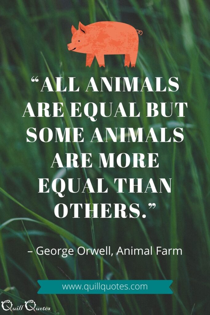 "All animals are equal but some animals are more equal than others." George Orwell, Animal Farm