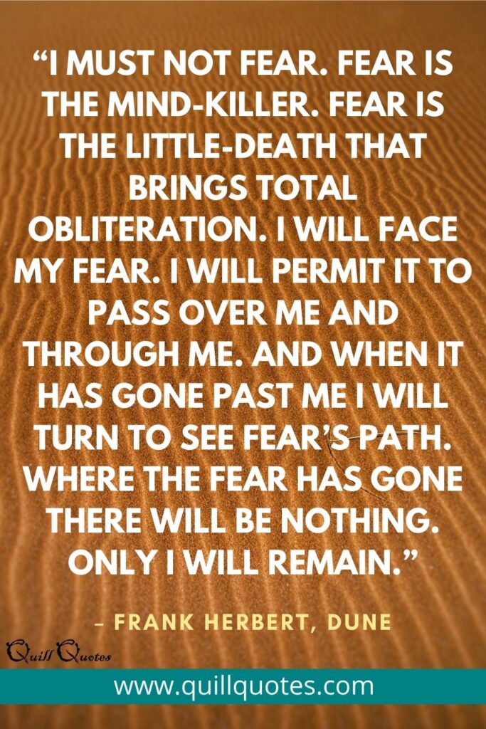 “I must not fear. Fear is the mind-killer. Fear is the little-death that brings total obliteration. I will face my fear. I will permit it to pass over me and through me. And when it has gone past me I will turn to see fear’s path. Where the fear has gone there will be nothing. Only I will remain.”